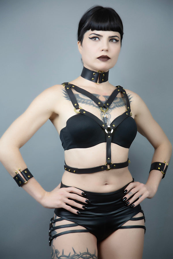 Futurist Harness
