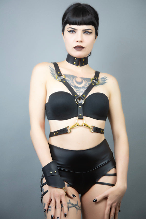 Futurist Harness