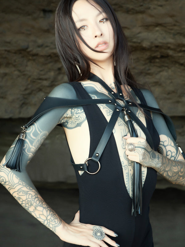 Gemini Harness