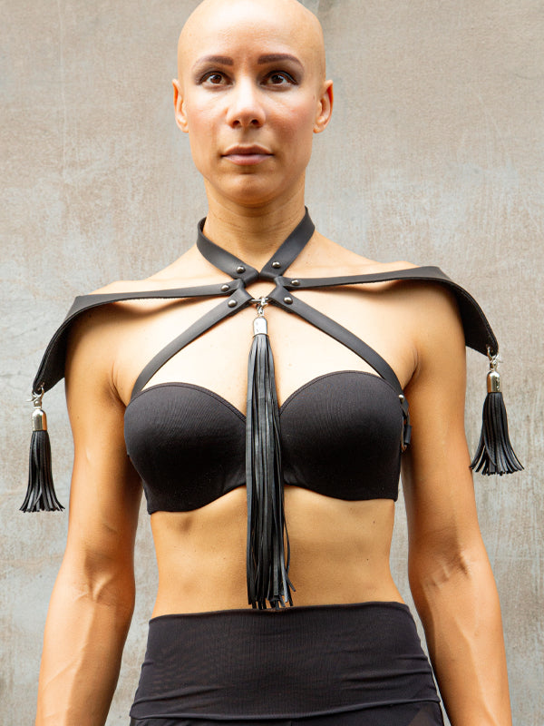 Gemini Harness