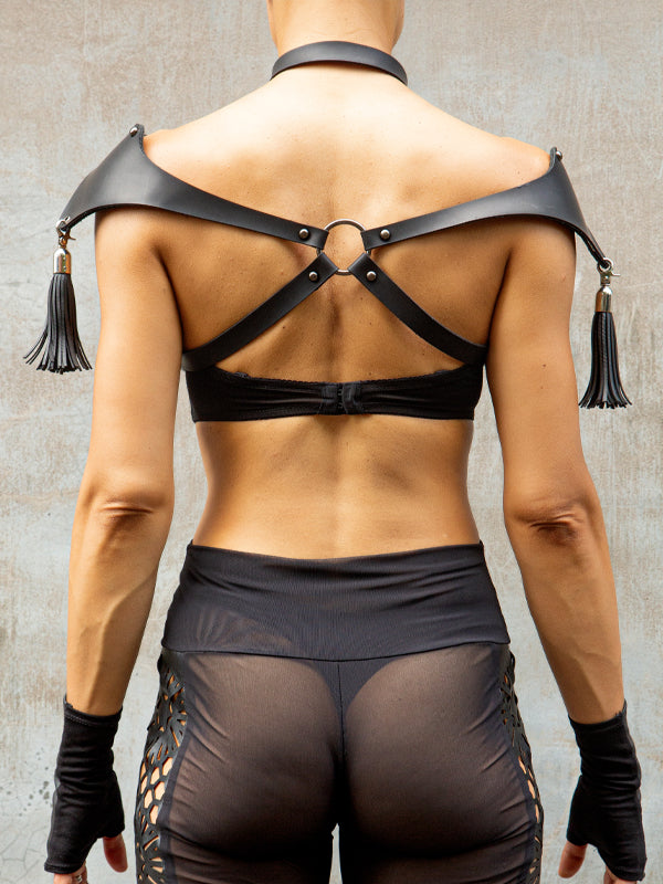 Gemini Harness
